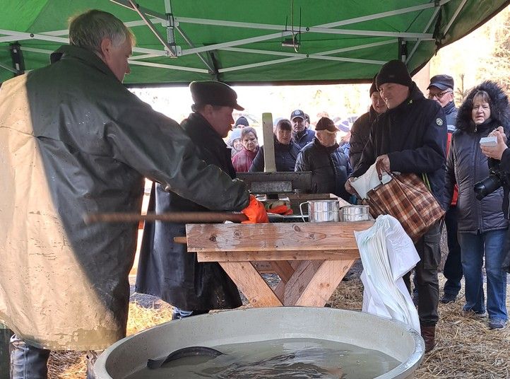 231218_Tolar_vanoce_ryby_1