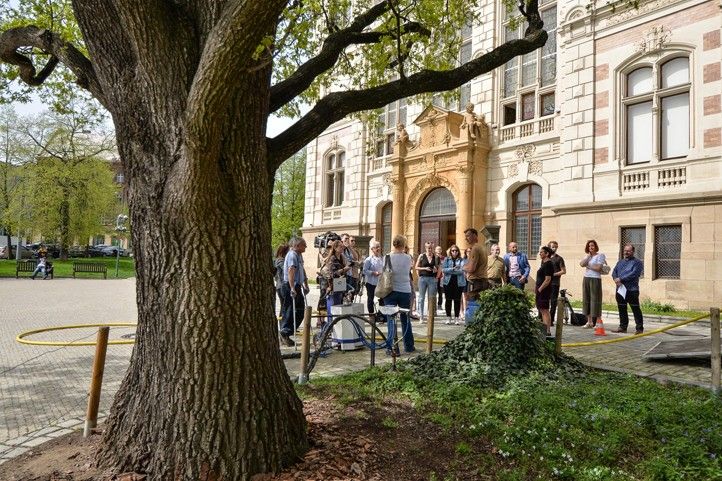 240409_Strom_ZCM_injektaz_1