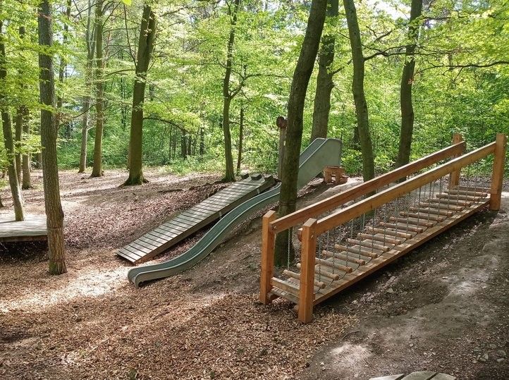 240514_prvky_spitalsky_les