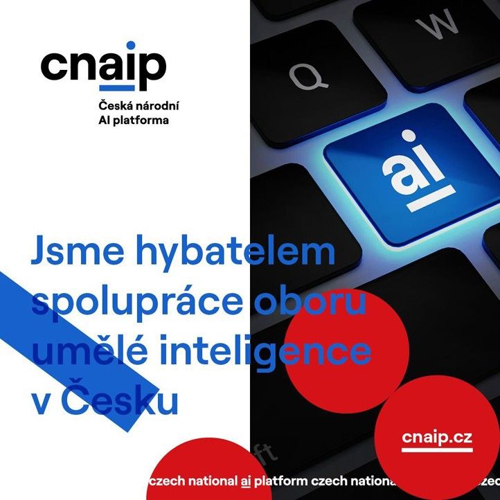 240627_CNAIP_grafika