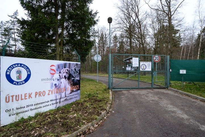 240703_Utulek_zvirata_psi