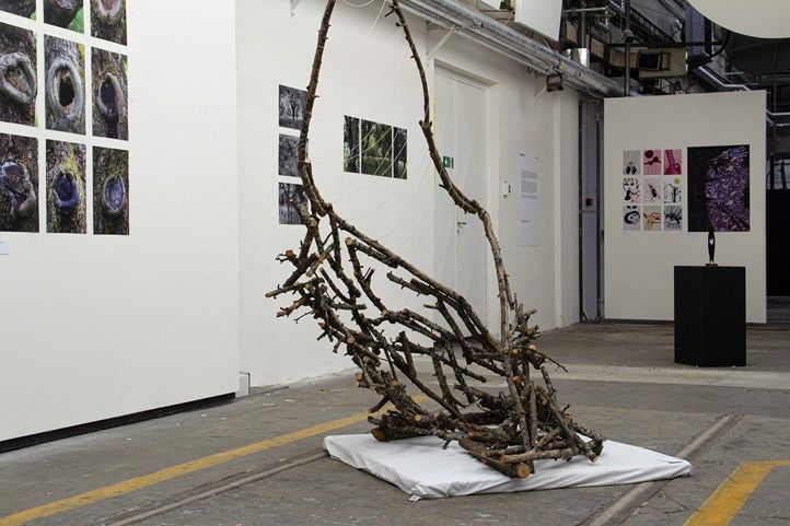 240712_Vystava_Gafa_2