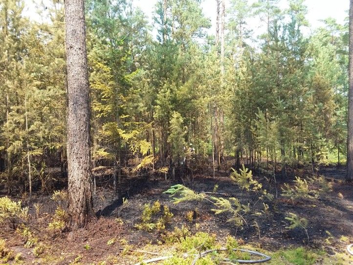 240726_Les_stromy_ohen