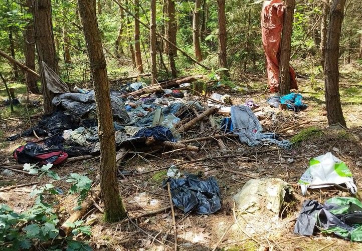 240726_Les_uklid_odpad