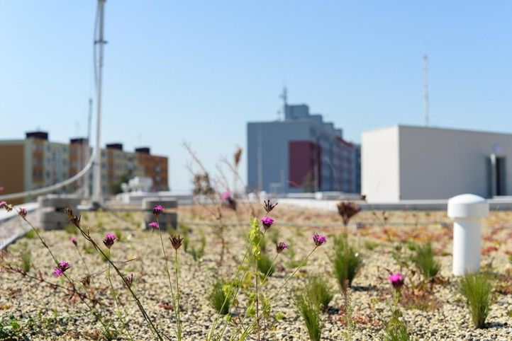 240802_Strecha_zelena_4_ZS_2