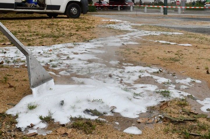 240912_Hubeni_plevel_2