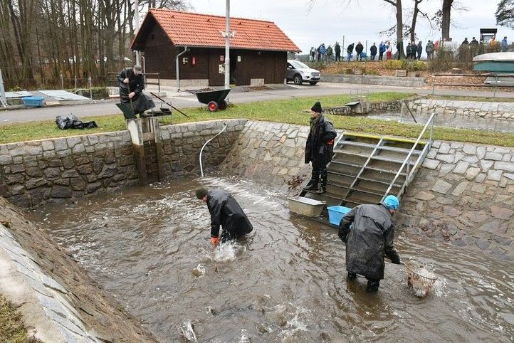 241219_prodej_ryb_02