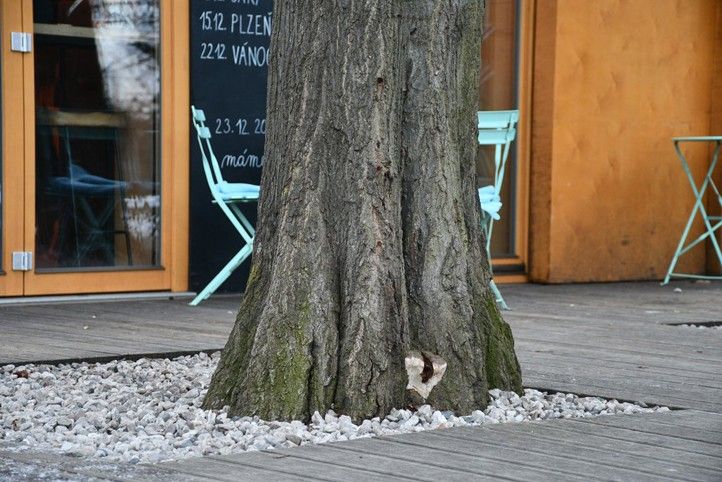 250224_Les_strom_park_2