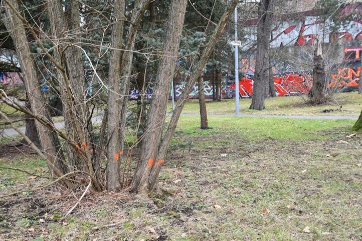 250310_Lochotinsky_park_1