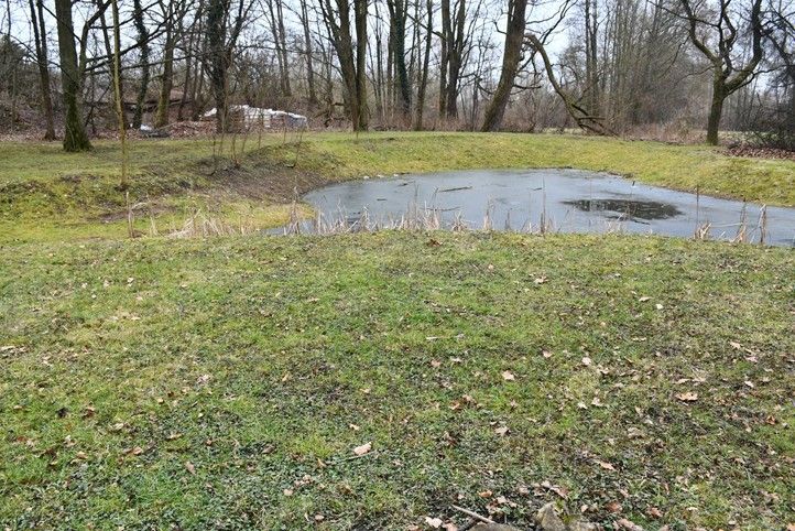 250310_Lochotinsky_park_2