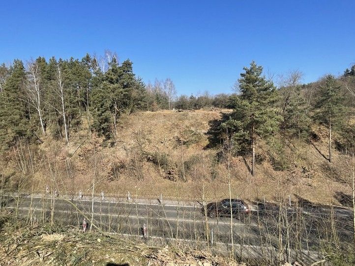 250312_Faltus_most_1