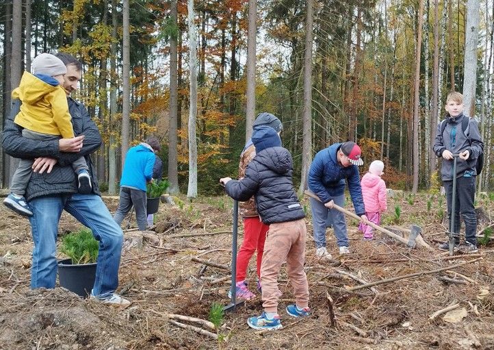 250404_Den_pro_les_1