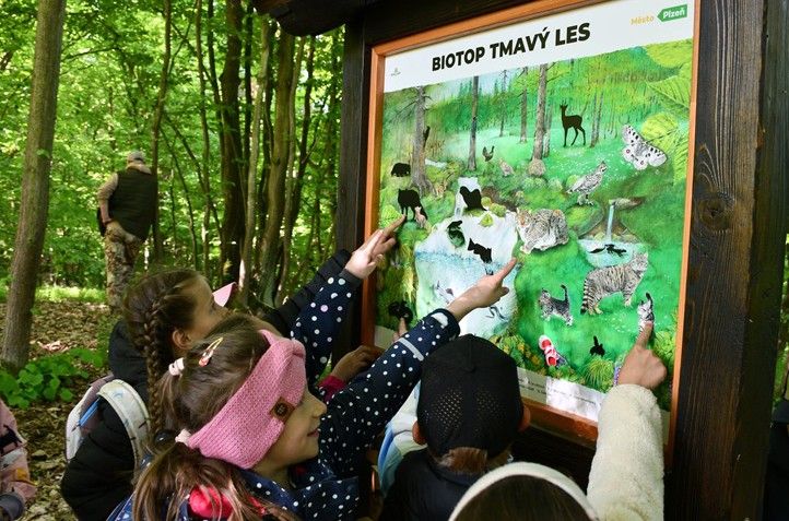 250507_Stezka_Dubova_hora_4