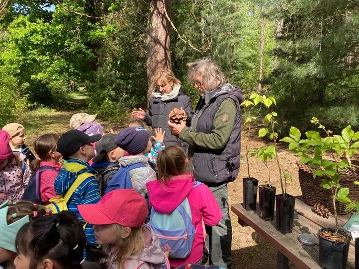 250516_Den_lesa_Sofronka_4