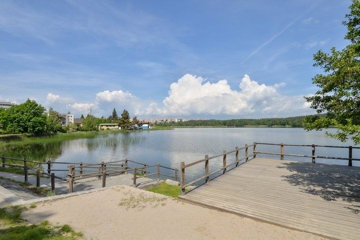 250605_bolevak_sezona_02