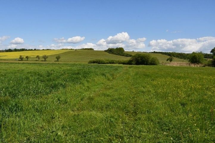 250605_cyklostezka_mze_04