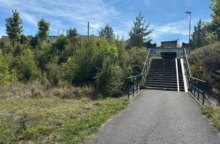 250905_PredatorPark_02