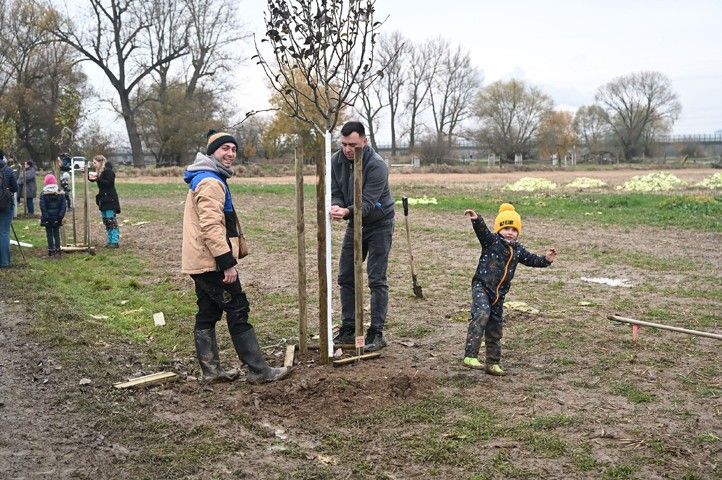 Fotografie: M. Svoboda 251112_DJKT_alej_2
