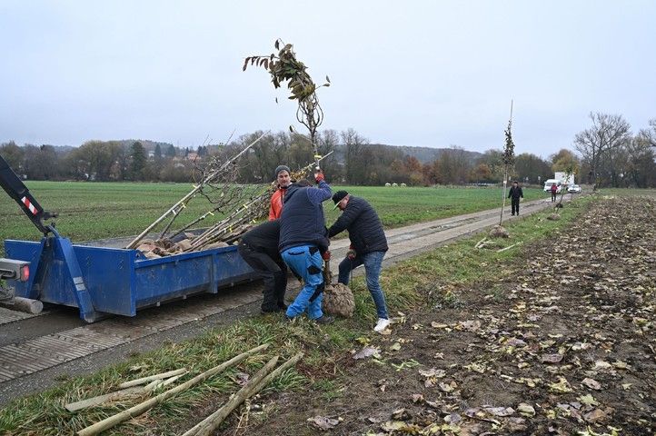 Fotografie: M. Svoboda 251112_DJKT_alej_3