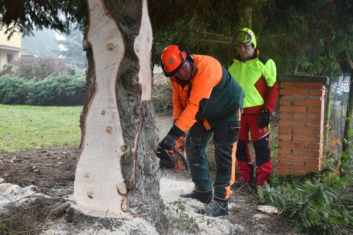 Fotografie: R. Žáková 251112_Vanocni_strom_svoz_1