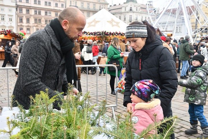 Fotografie: R. Žáková, R. Muchka, M. Chaloupka 251201_Sazenice_stromecek_1