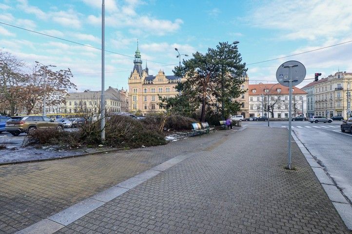 Sady Pětatřicátníků - současný stav (fotografie: M. Pecuch) 260205_Sady_Petatricatniku_2