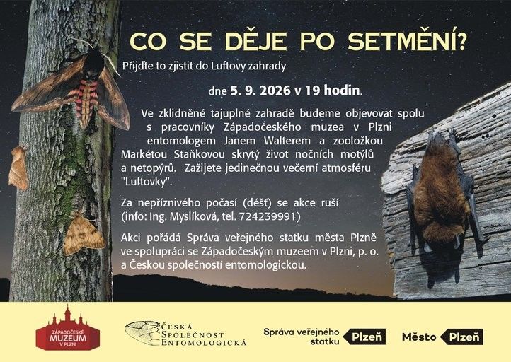 Noční sledování motýlů. Fotografie: R. Žáková 260828_Nocni_Sledovani_Motylu_1
